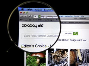 开云电竞中国-体育新闻中心发布体育短视频传播效果白皮书,体育短视频成为平台和用户的新宠 第1张 开云电竞中国-体育新闻中心发布体育短视频传播效果白皮书,体育短视频成为平台和用户的新宠 第1张