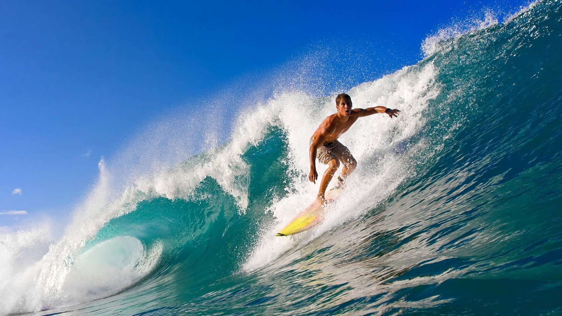 开云·体育官网APP下载-亚冠联赛中国足球惨败 球迷呼吁加强后防线,亚冠中国球队怎么回事 第1张 开云·体育官网APP下载-亚冠联赛中国足球惨败 球迷呼吁加强后防线,亚冠中国球队怎么回事 第1张